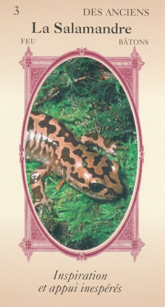 carte La Salamandre