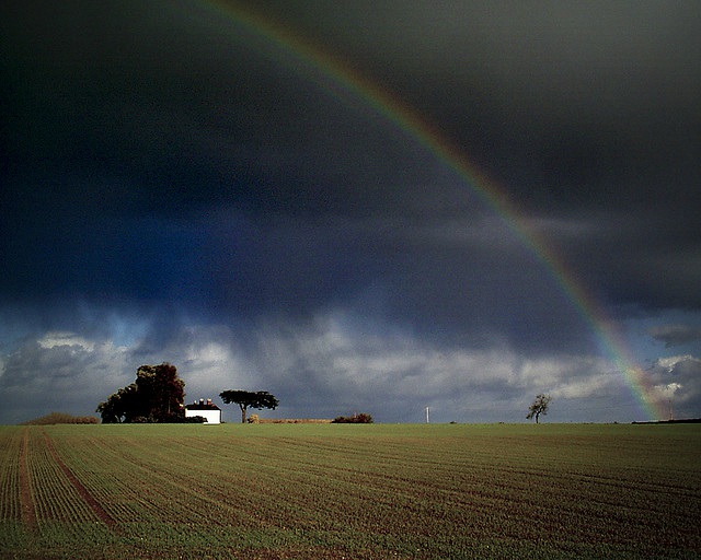 Rainbow by Hellsgeriatric on flickr