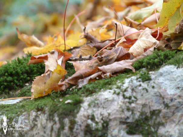 feuilles-automne-la-deesse-joyeuse